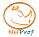 NHibernate Profiler